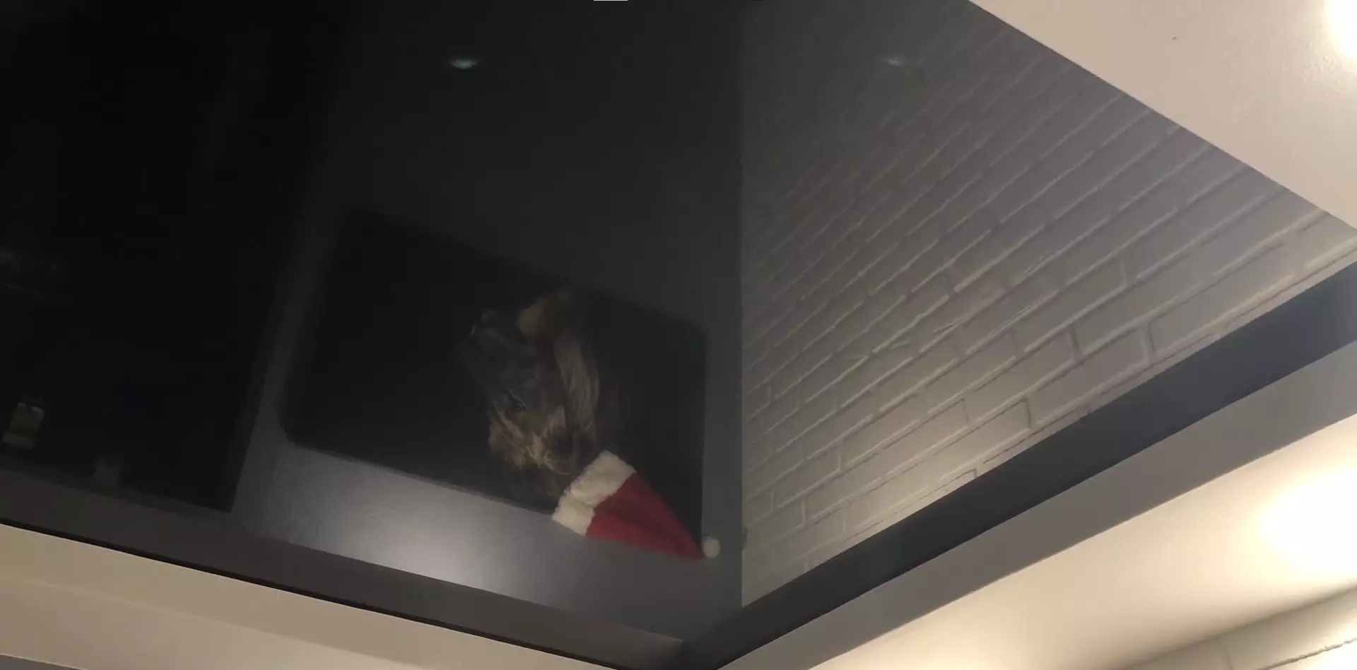 Челябинск, Черкасская, 23, фото 3